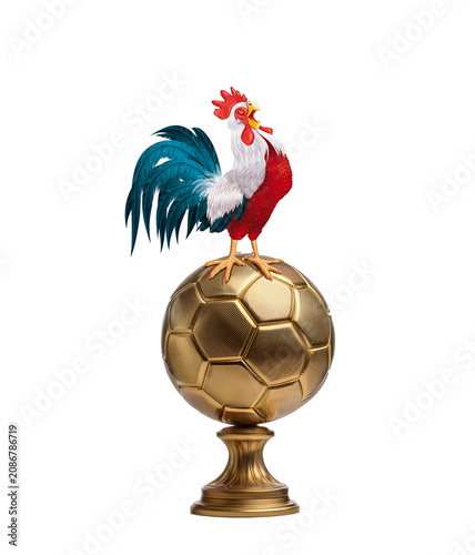 coq, France, champion, ballon d'or, bleu blanc rouge, fière, oiseau, animal, ferme, volaille, poule, blanc, coquelet, bec, empennage, domestique, poussin, dessin animé, oeuf, agriculture, debout