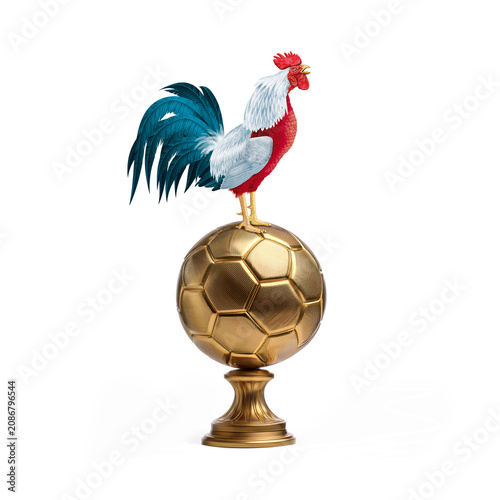 coq, France, champion, ballon d'or, bleu blanc rouge, fière, oiseau, animal, ferme, volaille, poule, blanc, coquelet, bec, empennage, domestique, poussin, dessin animé, oeuf, agriculture, debout