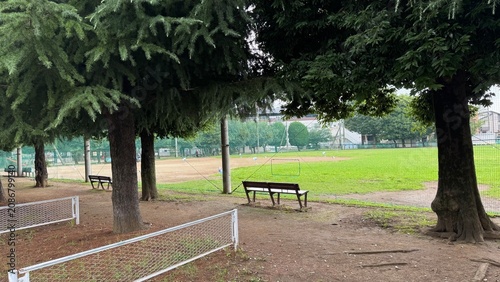 Bild auf Leinwand A park bench facing an empty baseball field, situated beneath a shady tree