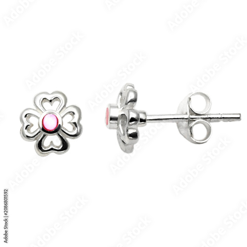 Earrings Silver Stone
