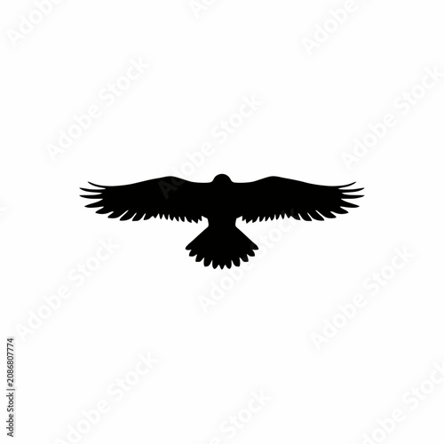 eagle vector illustration