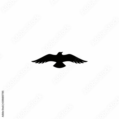 eagle in flight