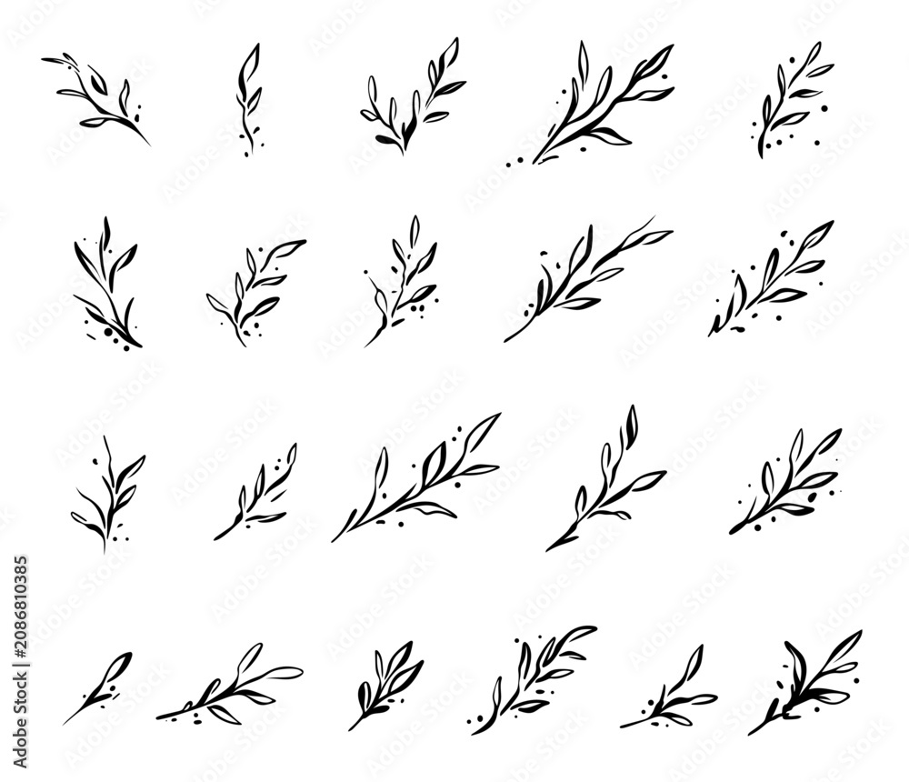 Naklejka premium Ink Botanical Set – Handgezeichnete botanische Zweige und Blätter als Vektor Illustration Set. Für Branding, Papeterie, Hochzeitseinladungen, Logos, Verpackungen und kreative Designprojekte.