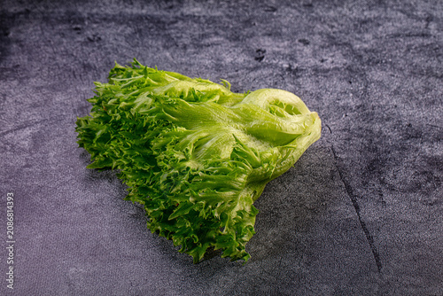 Cuadro en lienzo Fresh green frisee lettuce on a dark textured background