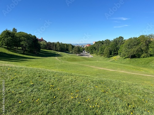 Photography scenery in Oslo, Norway, Nordic Countries
