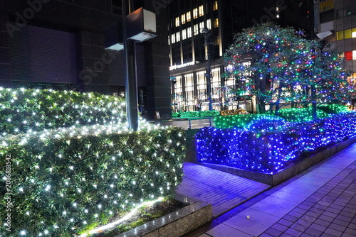 Cuadro en lienzo 夜の都会の街路を彩る、きらびやかな冬のイルミネーション。白い光の植え込み、青い光の低木、そして色とりどりの光で飾られた木々が、夜空の下で幻想的な光景を作り出して