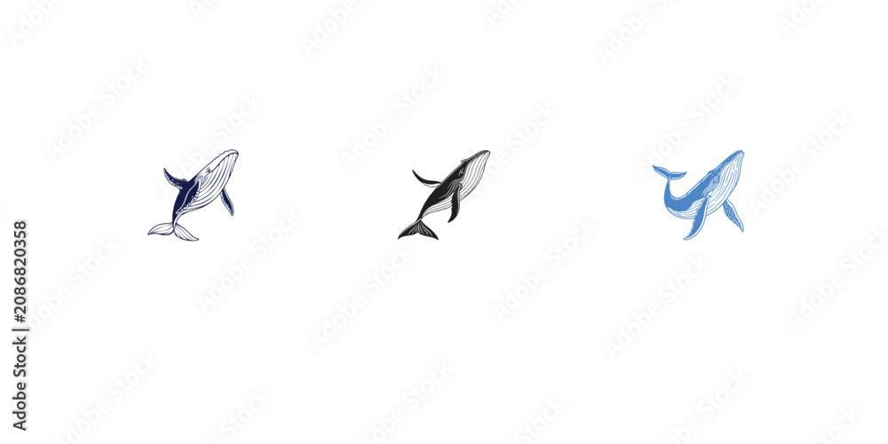 Obraz premium Set of three minimal whale illustrations in blue and black line art style for decoration.