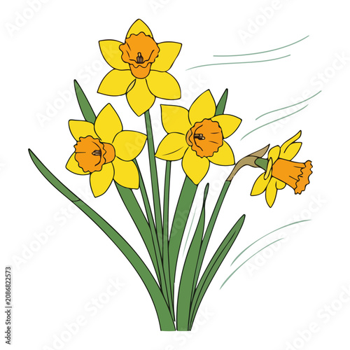 Bilde på lerret Bunch of yellow daffodils flowers swaying in the wind flat vector illustration