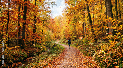 Spaziergänger im Herbstlichen Laubwald