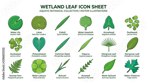 Foto Wetland leaf icon sheet collection.