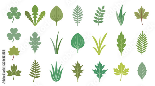 Collection of various green leaf types.