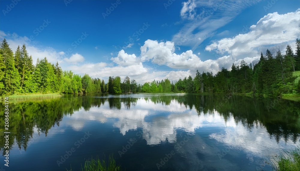 Fototapeta premium Serene Lake Reflecting Blue Sky And White Clouds Amidst Lush Green Trees