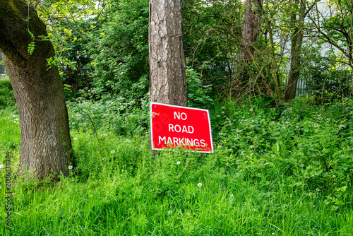 No road markings in forest