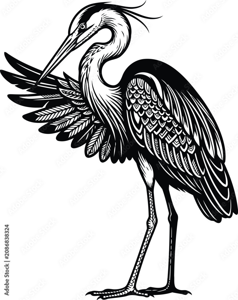 Fototapeta premium Great blue heron standing bird vector woodcut illustration raised wing