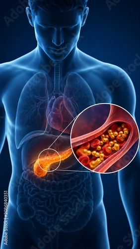 3D Human Anatomy Illustration of Pancreas Function and Insulin Release into the Bloodstream for Medical Education
