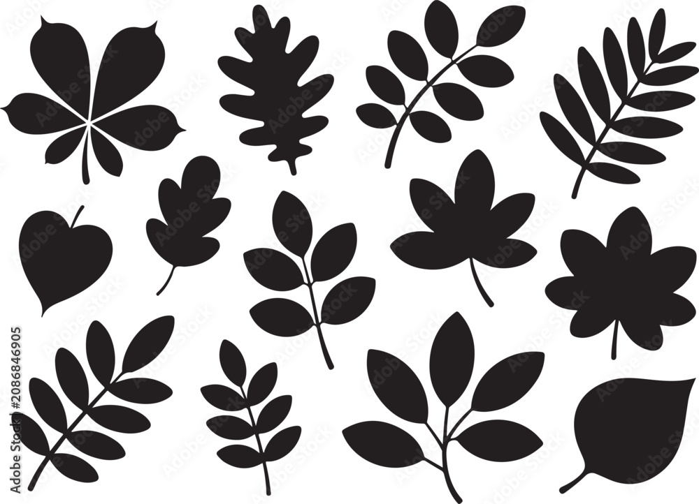Obraz premium A beautiful assortment of autumn leaf silhouettes representing various tree species and seasonal changes