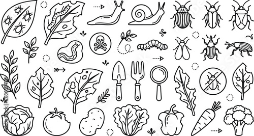 Foto Garden pests and crop damage line art element set with agricultural insects weed