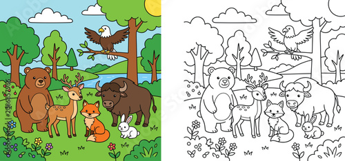 Photography Cute forest animals coloring book page with colored sample, cartoon wild animals
