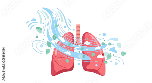 Cuadro en lienzo Human lungs anatomy organ health.