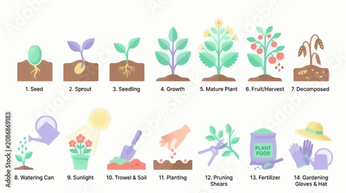 Foto Flat Design Vector Illustration Set of Plant Lifecycle Stages and Gardening Tool