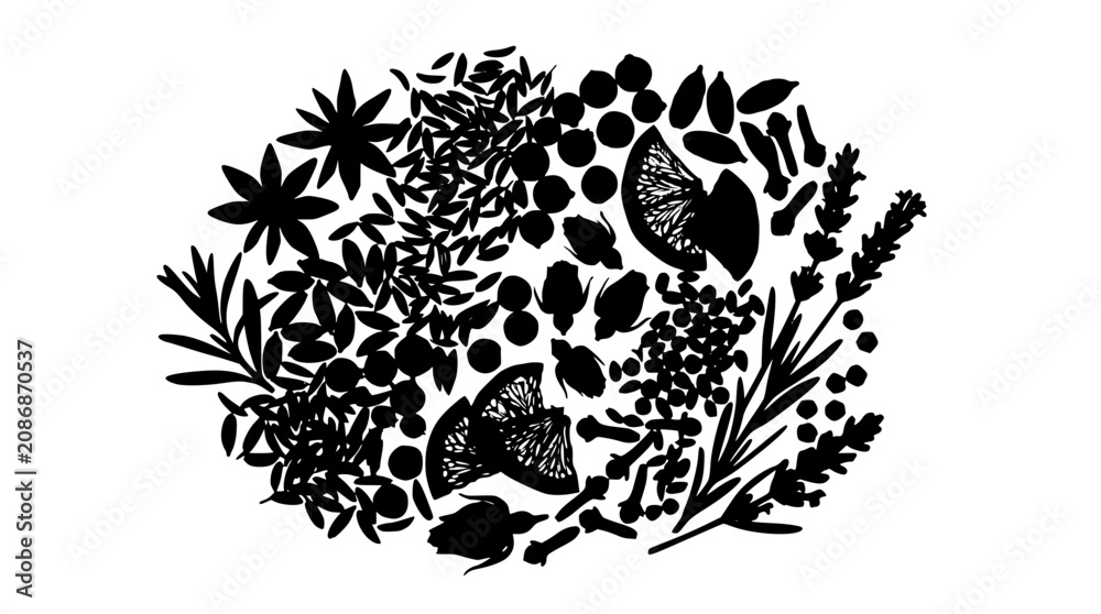 Obraz premium Black silhouette of aromatic dried spices and herbal botanicals on white background
