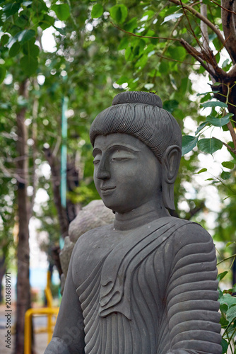 Photography A serene stone or bronze Buddha statue profile standing amidst lush green tropical trees and foliage in a quiet outdoor setting