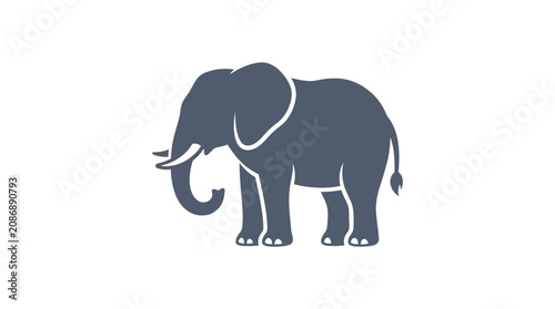 Photography Minimalist elephant vector icon isolated on white background