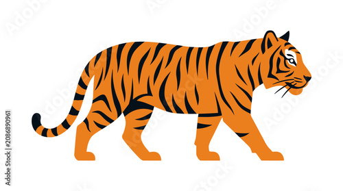 Canvas Print Tiger walking on white background