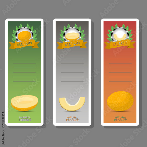 Fruit theme from set juicy delicious melon of various sizes