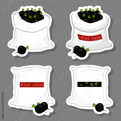 Big vegetable set from tasty black radish in large textured sacks