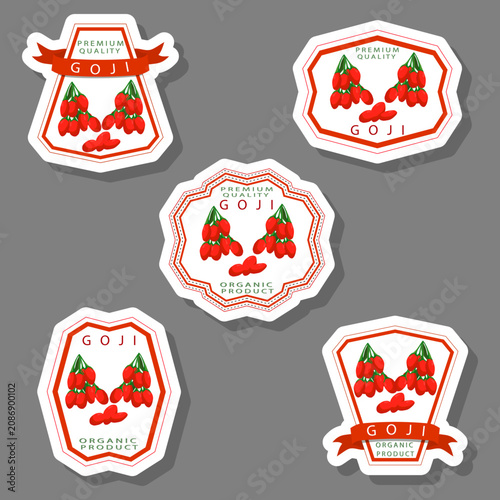 Berry theme from set juicy delicious goji of various sizes