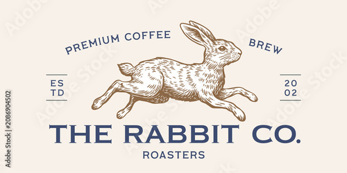 Hare, rabbit sketch. Vintage coffee roasters rabbit symbol, engraved coffee roasters rabbit cafe badge, retro morning brew emblem, coffee roasters rabbit brand label, Vector Illustration