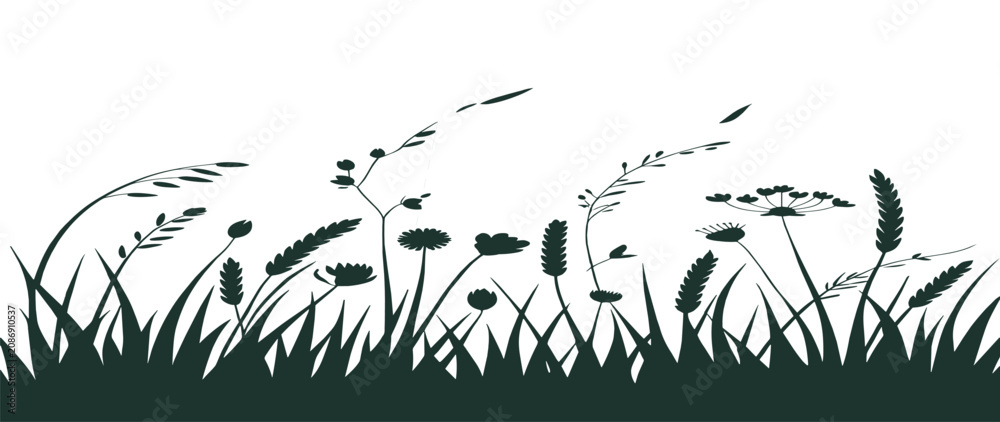 Obraz premium Grass silhouette vector