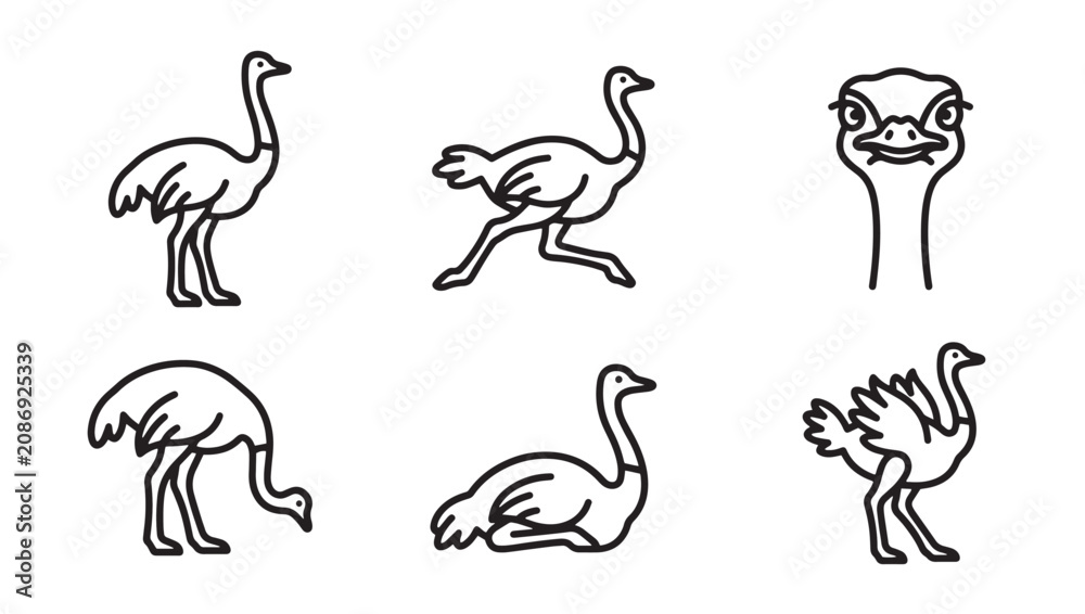 Obraz premium Collection of hand drawn ostrich illustrations in black and white style with wildlife flightless collection minimalist monochrome illustration isolated creature avifauna standing behavior