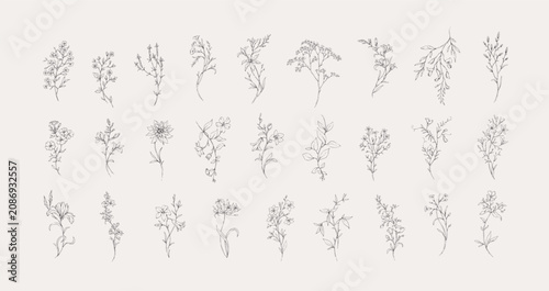 Set of whimsical drawing various flowers and leaves. Luxury floral collection for wedding invitation, wallpaper art or save the date card. Botanical vector
