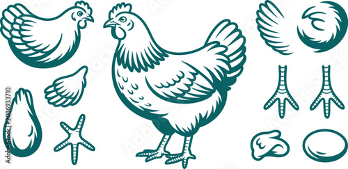 Teal chicken icons, farm animal illustrations, poultry set, vector graphics