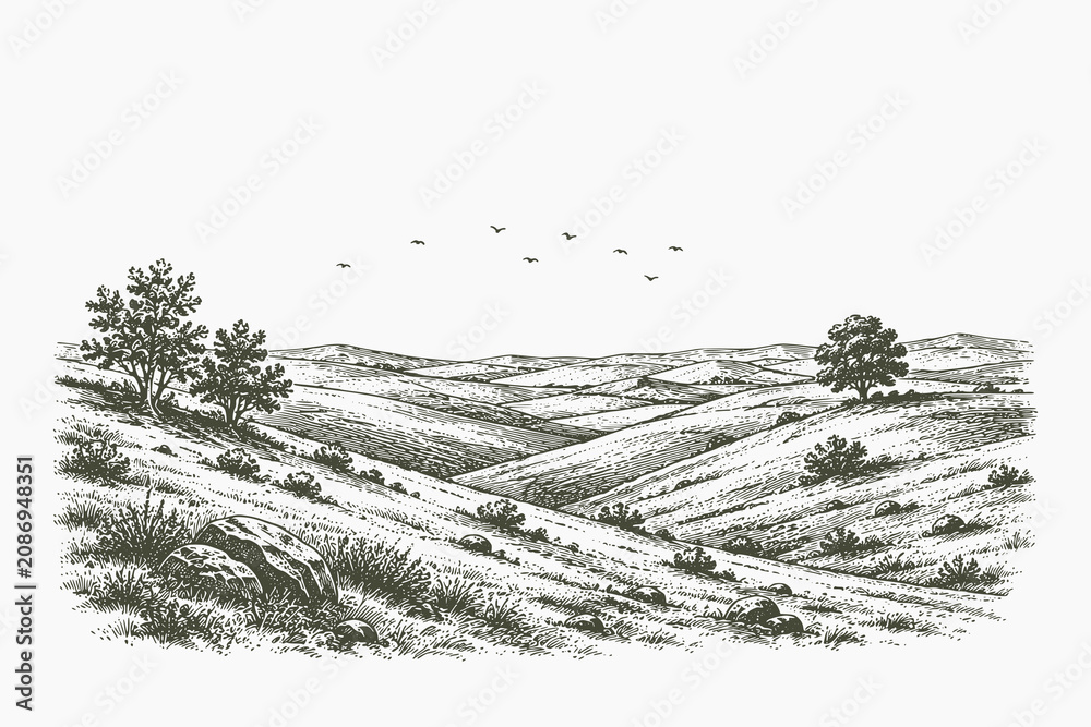 Fototapeta premium Vintage engraved rolling hills vector illustration with open countryside landscape in detailed hand drawn etching style for scenic and editorial projects