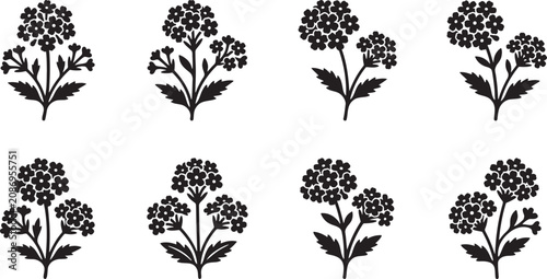 Fotografía Clustered hydrangea blossoms and dense meadow flower bush sprigs