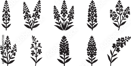 Foto Aromatic lavender stalks and tall hyacinth flower spike stencils