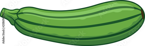 Tableau sur toile Fresh green zucchini vector illustration whole ripe marrow squash summer vegetab