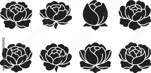 Bild auf Leinwand Detailed peony flower heads silhouette collection for wedding decorations
