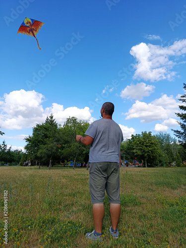 A man is flying a kite in the park on a sunny summer day.