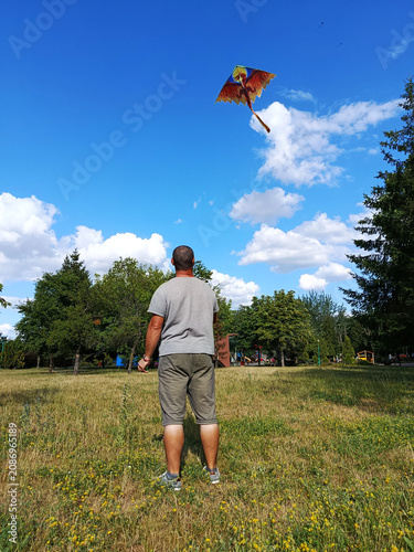 A man is flying a kite in the park on a sunny summer day.