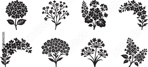 Fotografía Hydrangea and elderberry cluster flower silhouette set for vintage graphics