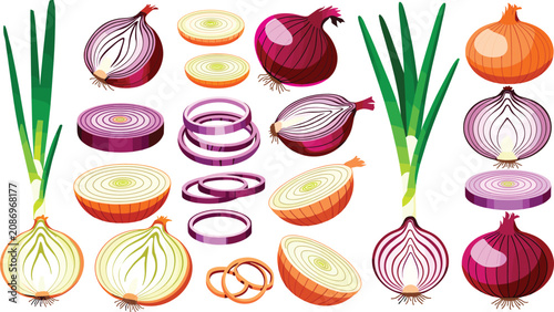 Quadro su tela Onion varieties vector illustration set featuring red and yellow whole onions ha