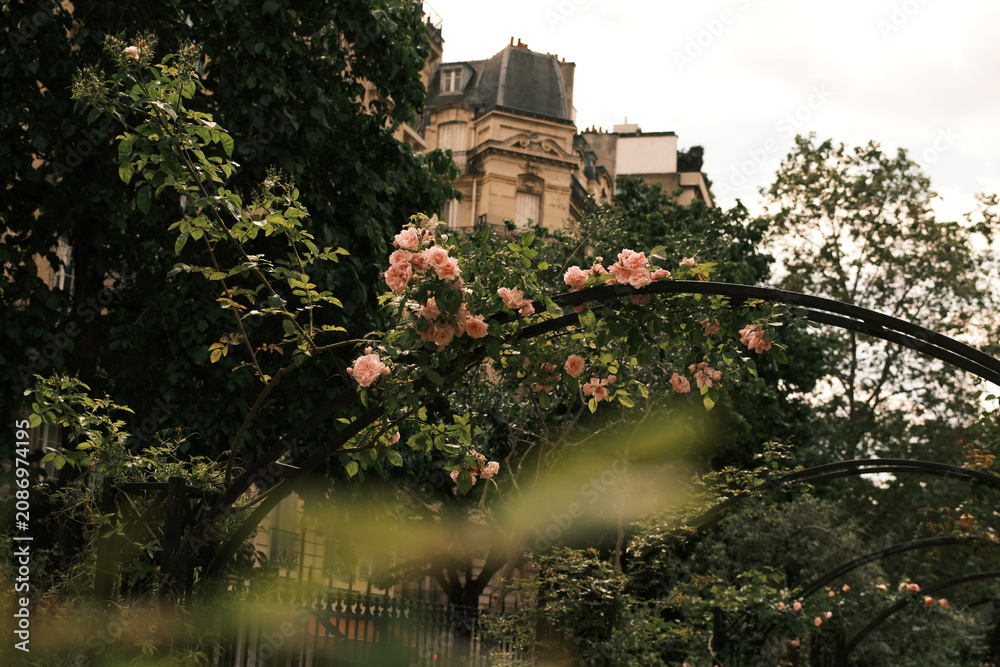 Naklejka premium Paris, France