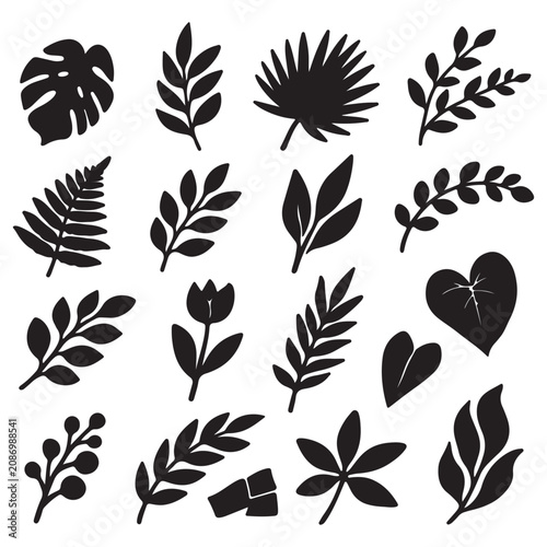 Tropical Leaves and Botanical Branch Silhouette Collection