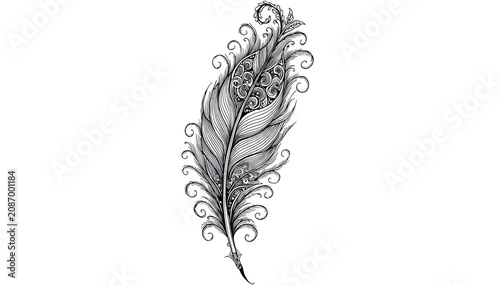 Elegant Ornamental Feather with Intricate Floral Line Art Illustration