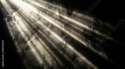 Feathers with Sunlight Rays Creating a Pattern on a Dark Background Featuring Texture, Light, Shadow with Nature and Close-Up