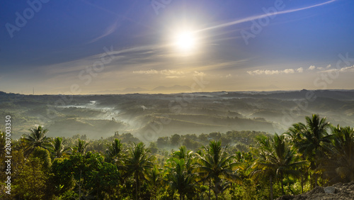 Photos Misty Morning Valley with Palm Trees at Sunrise